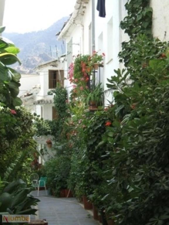 Vivienda Turistica Arabeluj Apartment Guejar Sierra Ngoại thất bức ảnh